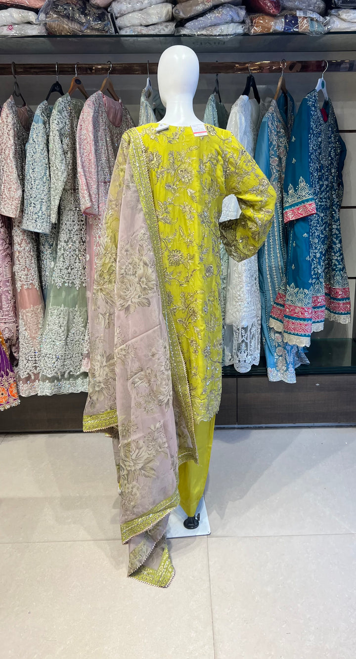 PAKISTANI AREEJ DESIGNER SUIT - EJ01