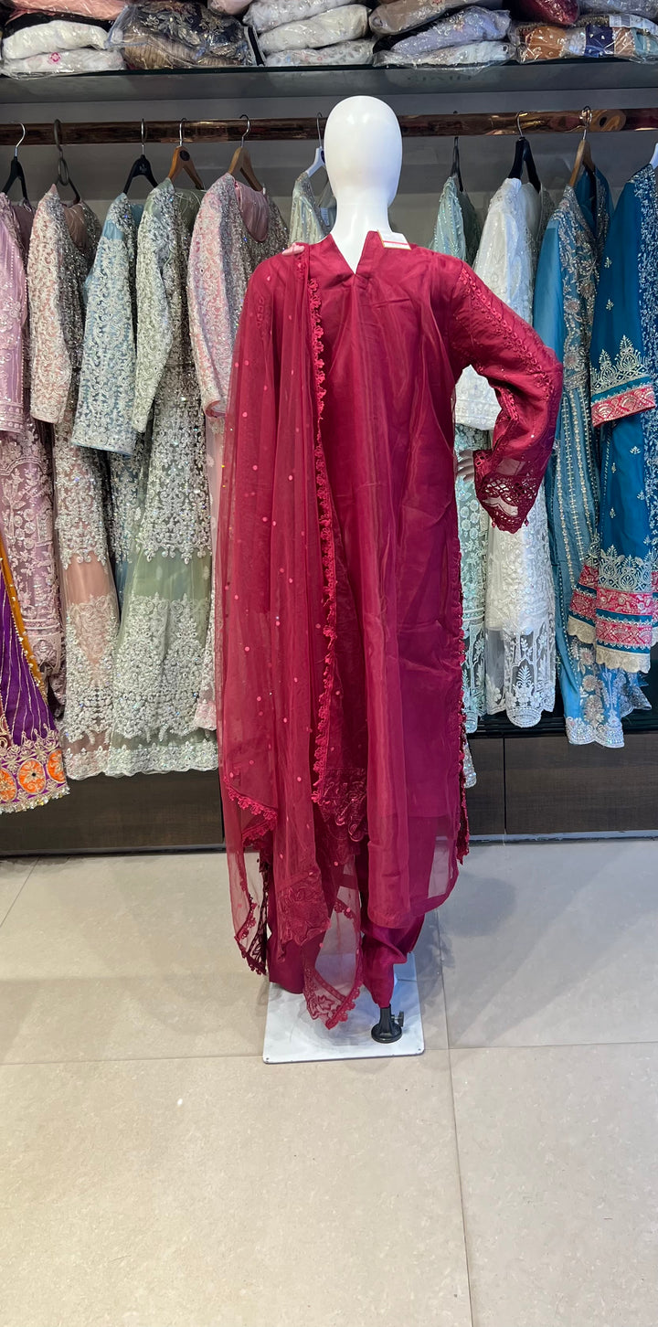 PAKISTANI AREEJ DESIGNER SUIT - EJ01