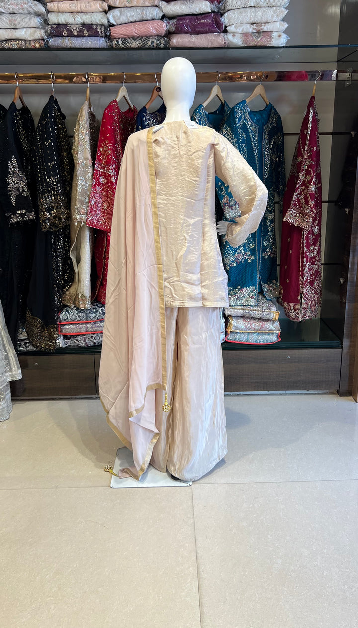 ZARI WORK DESIGNER SUIT - IKFR01