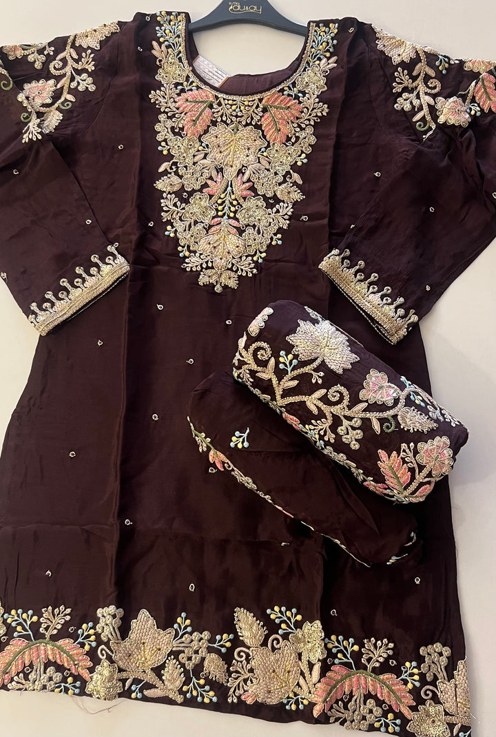 EMBRIDORY WORK DESIGNER SUIT - BTZA09