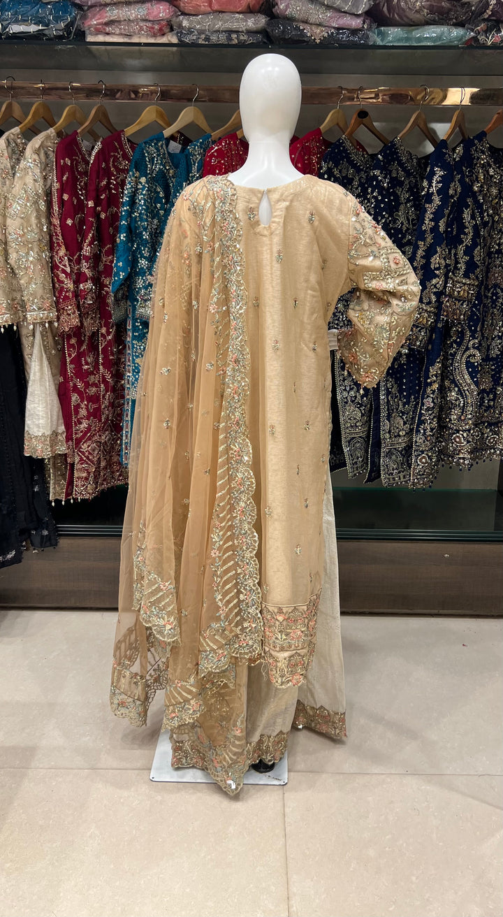 PAKISTANI HANDWORK DESIGNER SUIT - TMF01