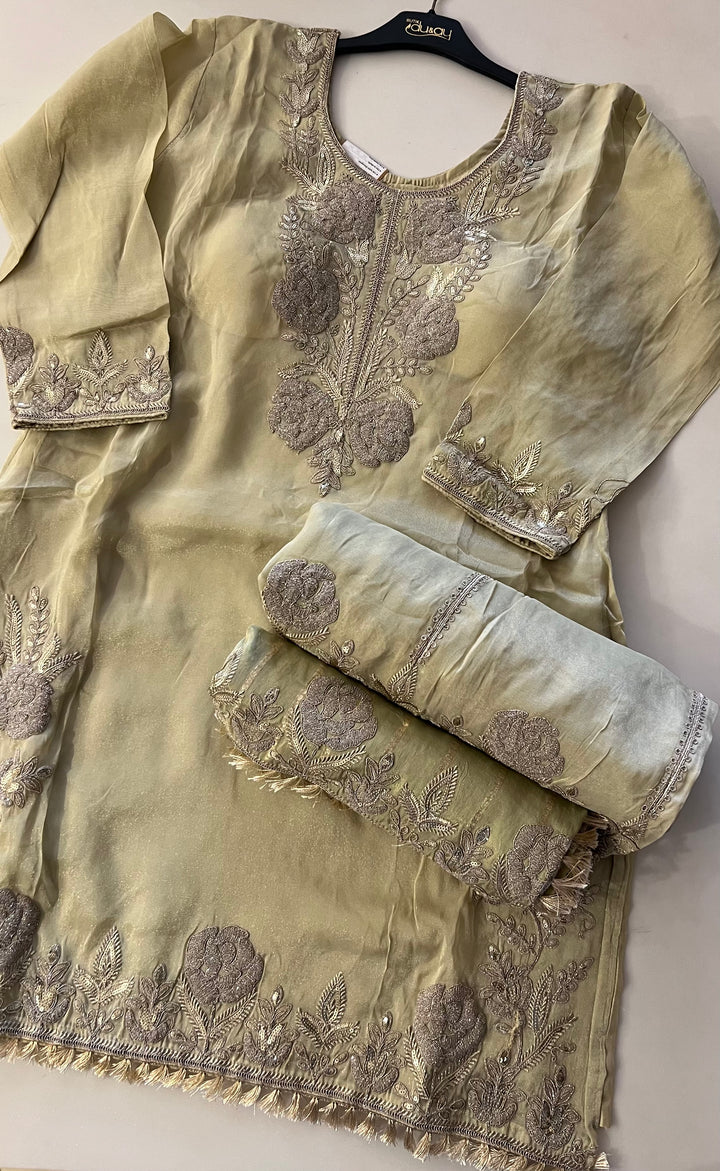 ZARI WORK DESIGNER SUIT - IKEJ38